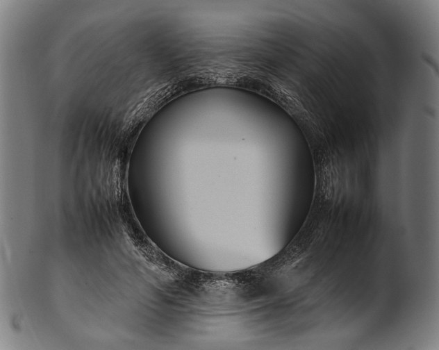 X0000101220594200807111058