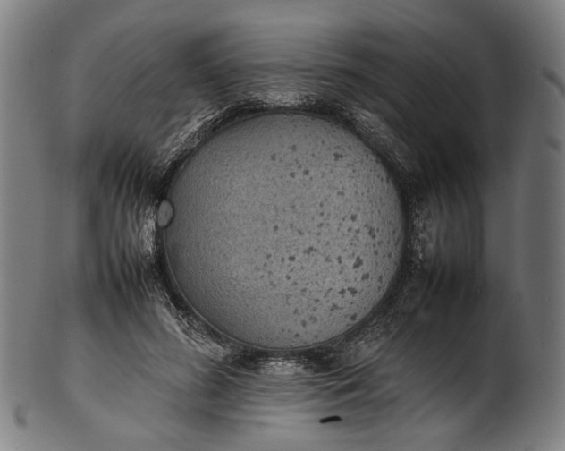 X0000101220596200807111058