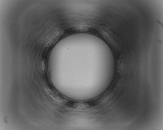 X0000101220597200807111058