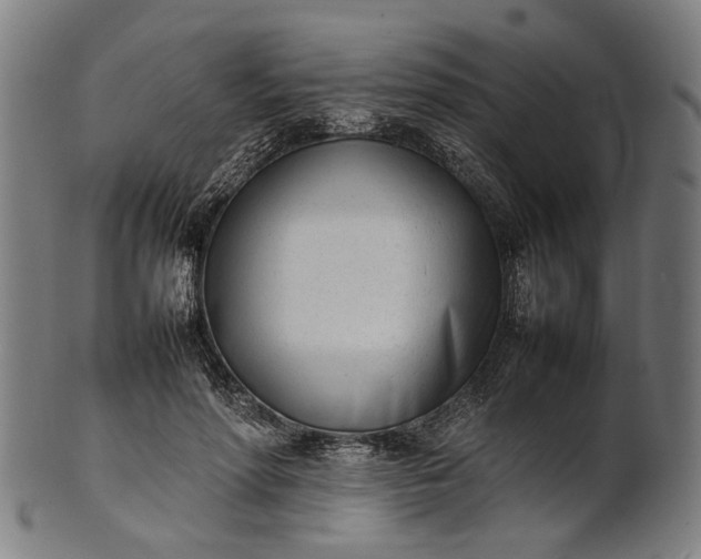 X0000101220598200807111058