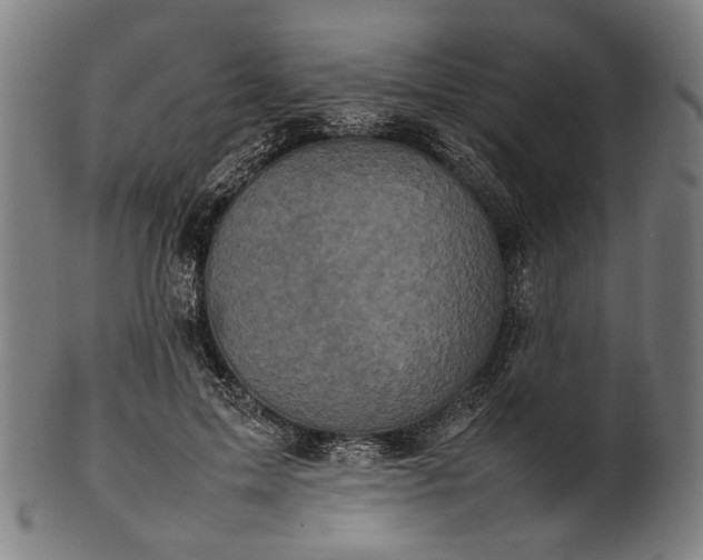 X0000101220599200807111058
