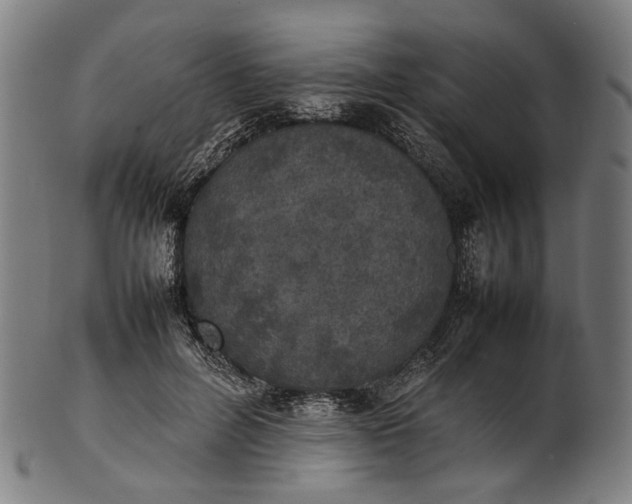 X0000101220600200807111058
