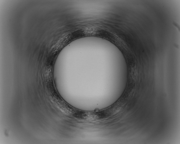 X0000101220601200807111058