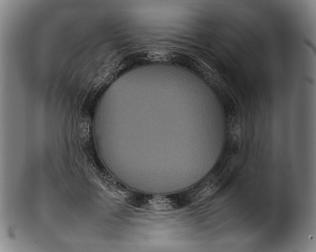 X0000101220603200807111058