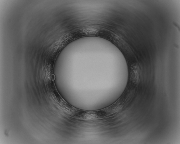 X0000101220604200807111058