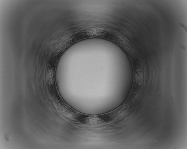 X0000101220605200807111058