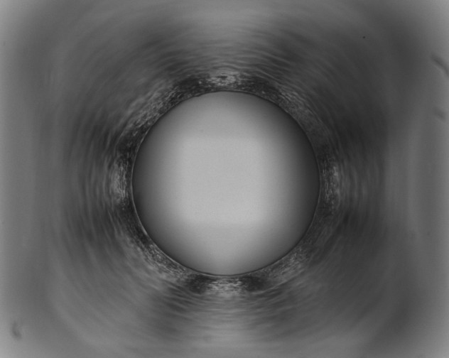 X0000101220606200807111058