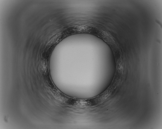 X0000101220607200807111058