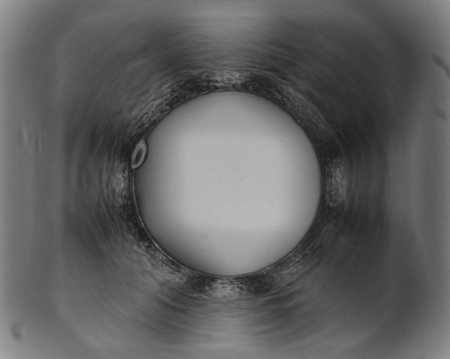 X0000101220608200807111058