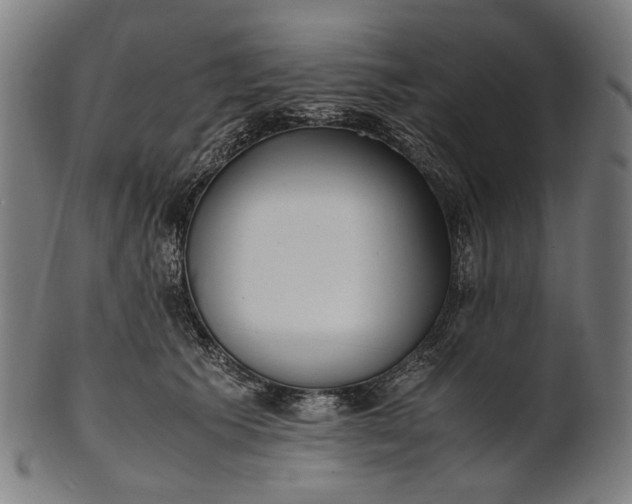 X0000101220609200807111058