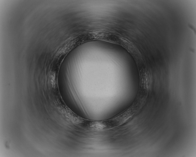 X0000101220610200807111058