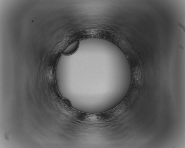 X0000101220611200807111058