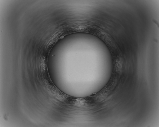 X0000101220612200807111058