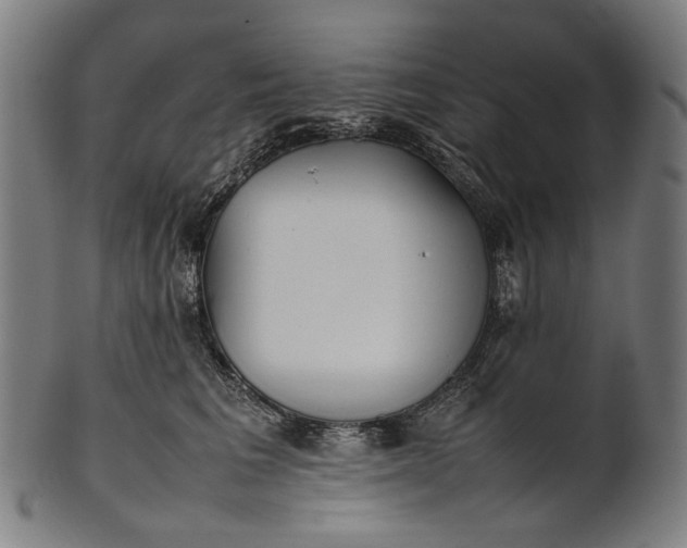 X0000101220613200807111058