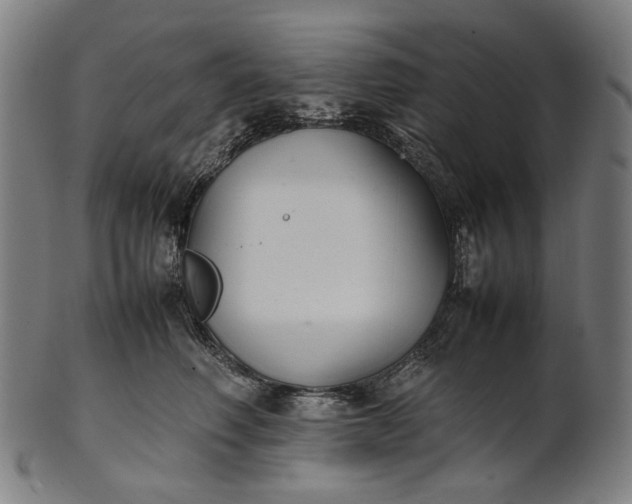 X0000101220614200807111058