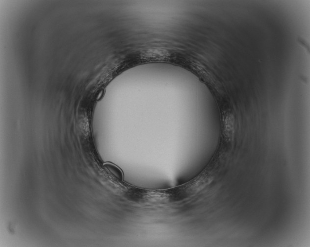 X0000101220617200807111058