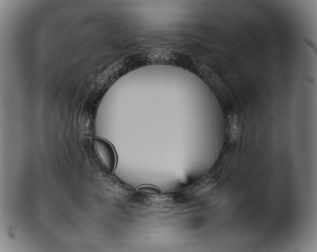 X0000101220619200807111058