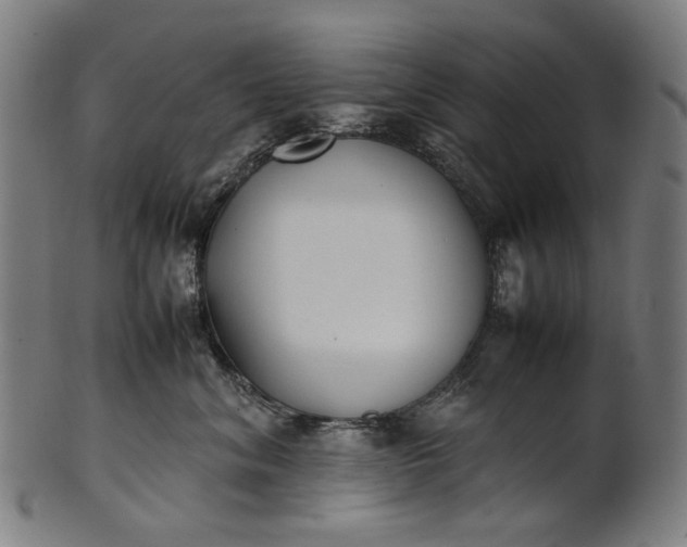 X0000101220620200807111058