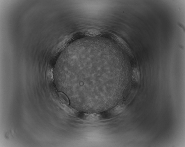 X0000101220621200807111058