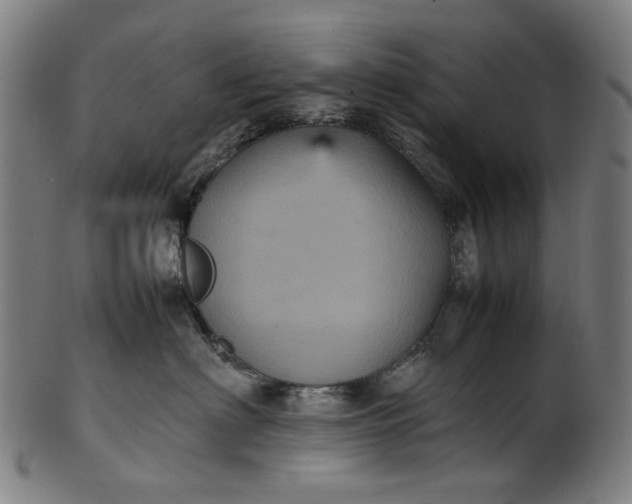 X0000101220622200807111058