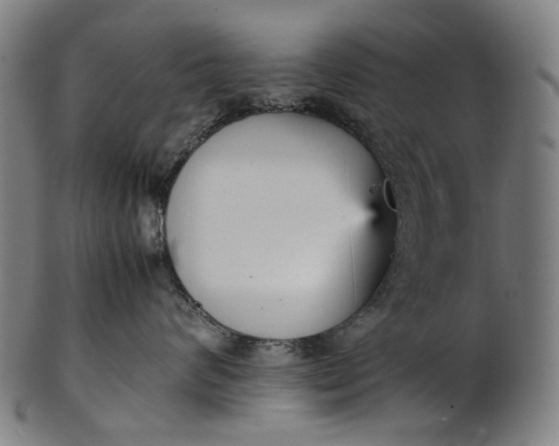 X0000101220624200807111058
