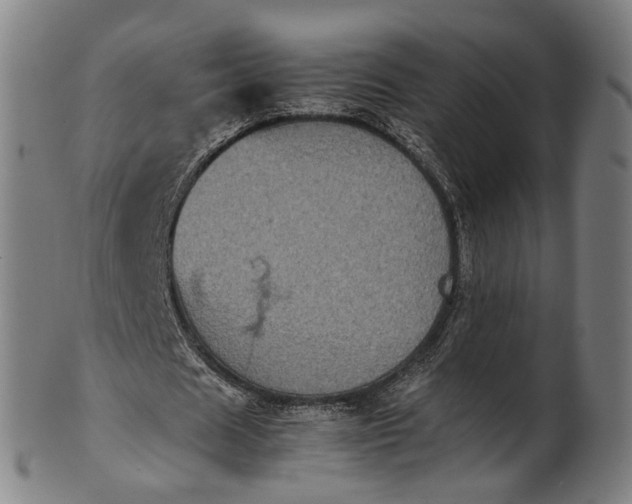 X0000101220625200807111057