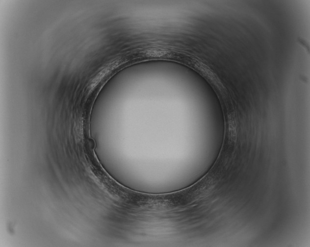 X0000101220626200807111057