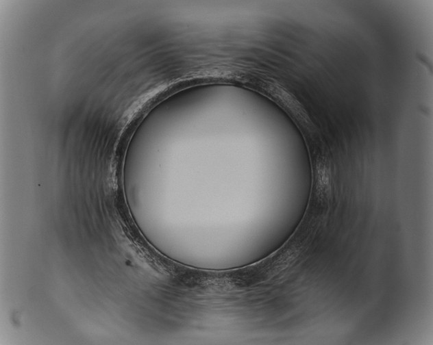 X0000101220628200807111057