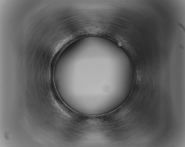 X0000101220630200807111057