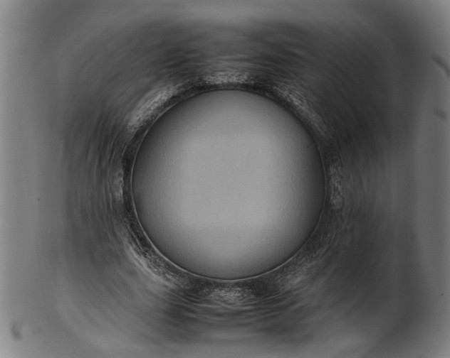 X0000101220631200807111057