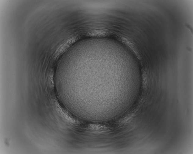 X0000101220633200807111057