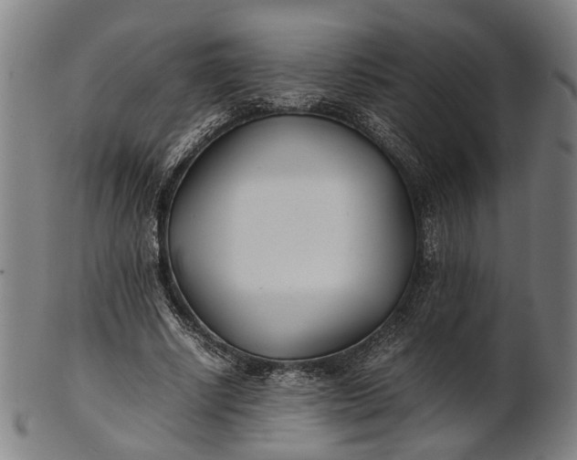 X0000101220634200807111057