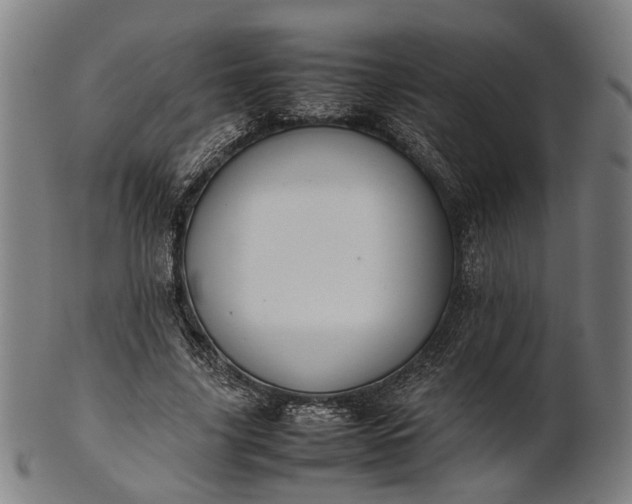 X0000101220635200807111057