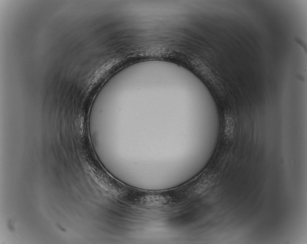 X0000101220636200807111057