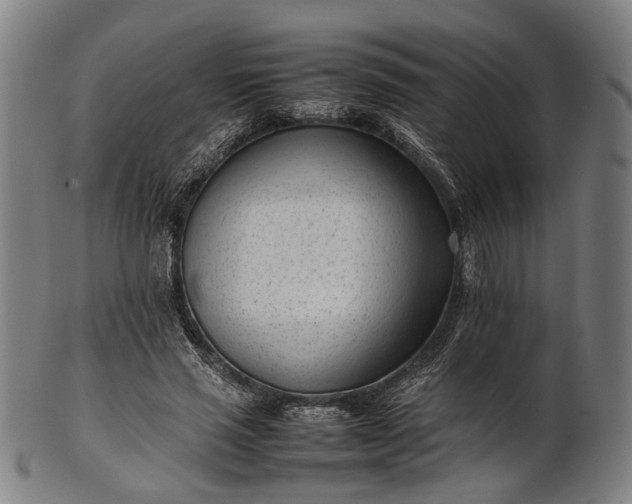X0000101220637200807111057