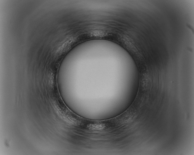 X0000101220639200807111057