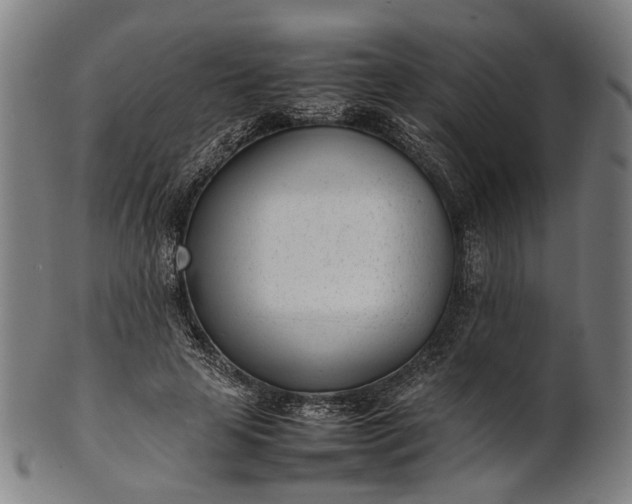 X0000101220641200807111058