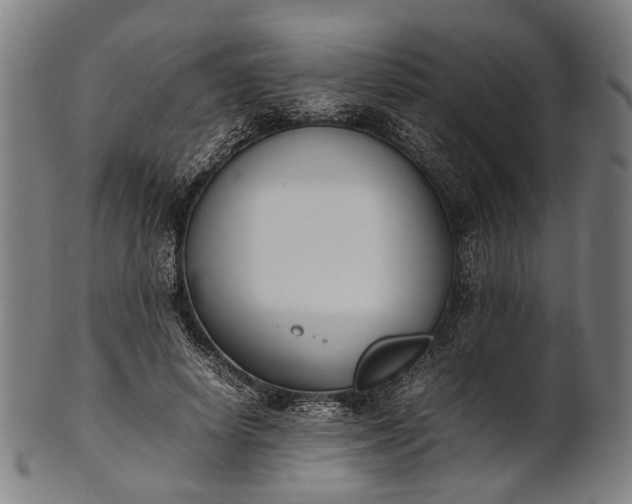 X0000101220642200807111058