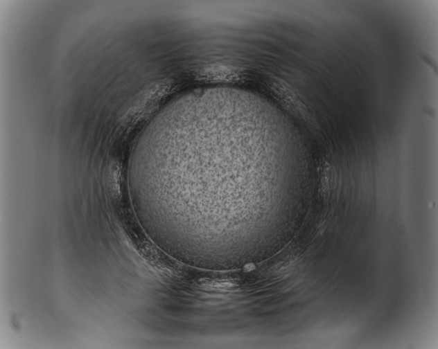 X0000101220643200807111058