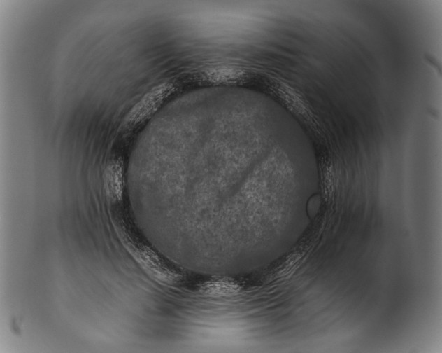 X0000101220644200807111058