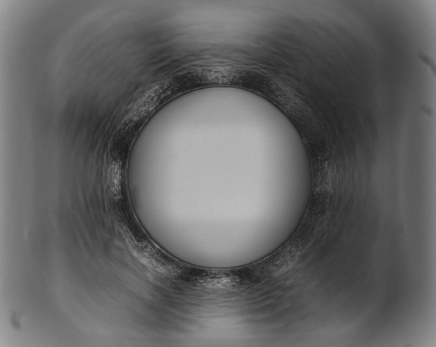 X0000101220646200807111058