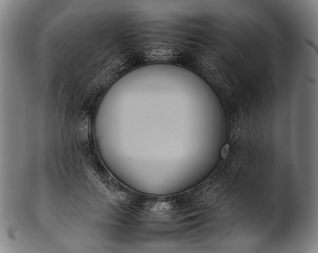 X0000101220647200807111058