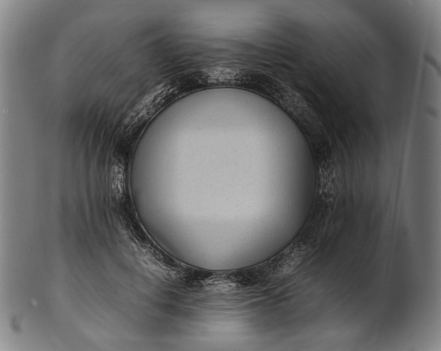 X0000101220648200807111058