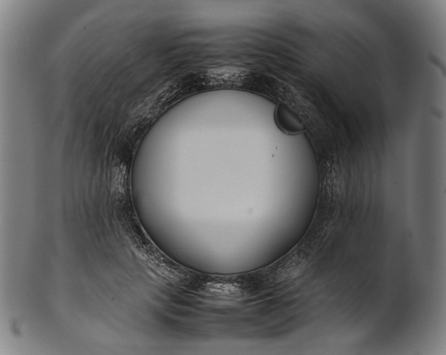 X0000101220649200807111058