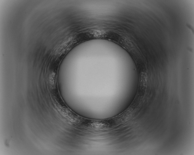 X0000101220650200807111058