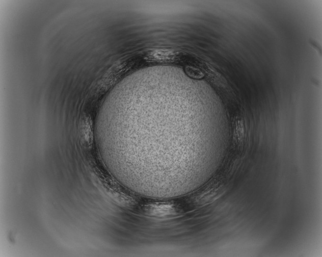 X0000101220651200807111058