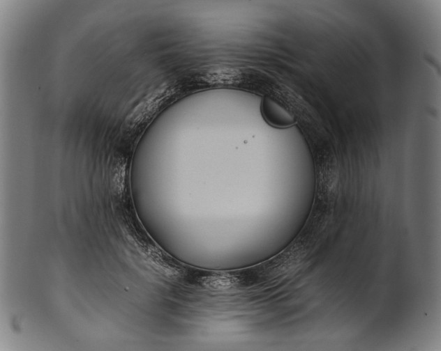 X0000101220652200807111058