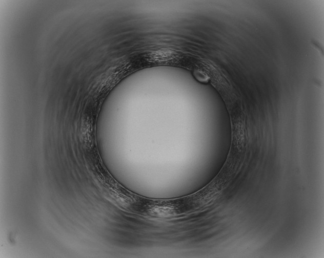 X0000101220653200807111058