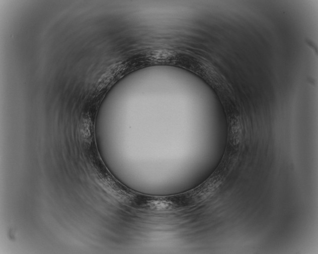 X0000101220654200807111058