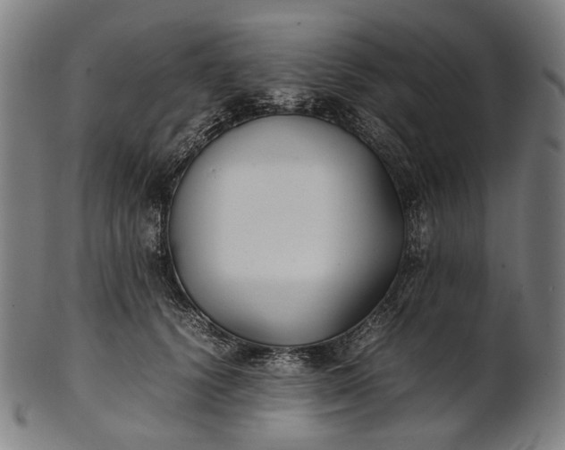 X0000101220656200807111058